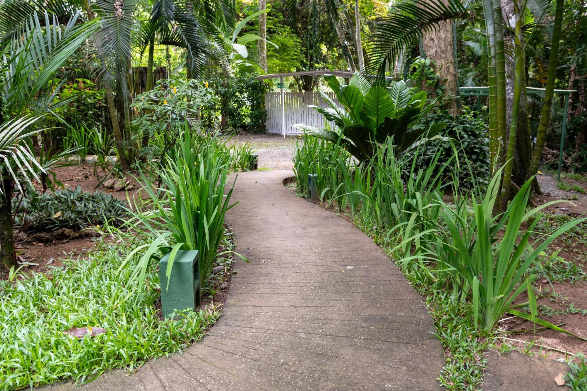 Jaguar Inn Bungalows Puerto Viejo de Talamanca Ngoại thất bức ảnh