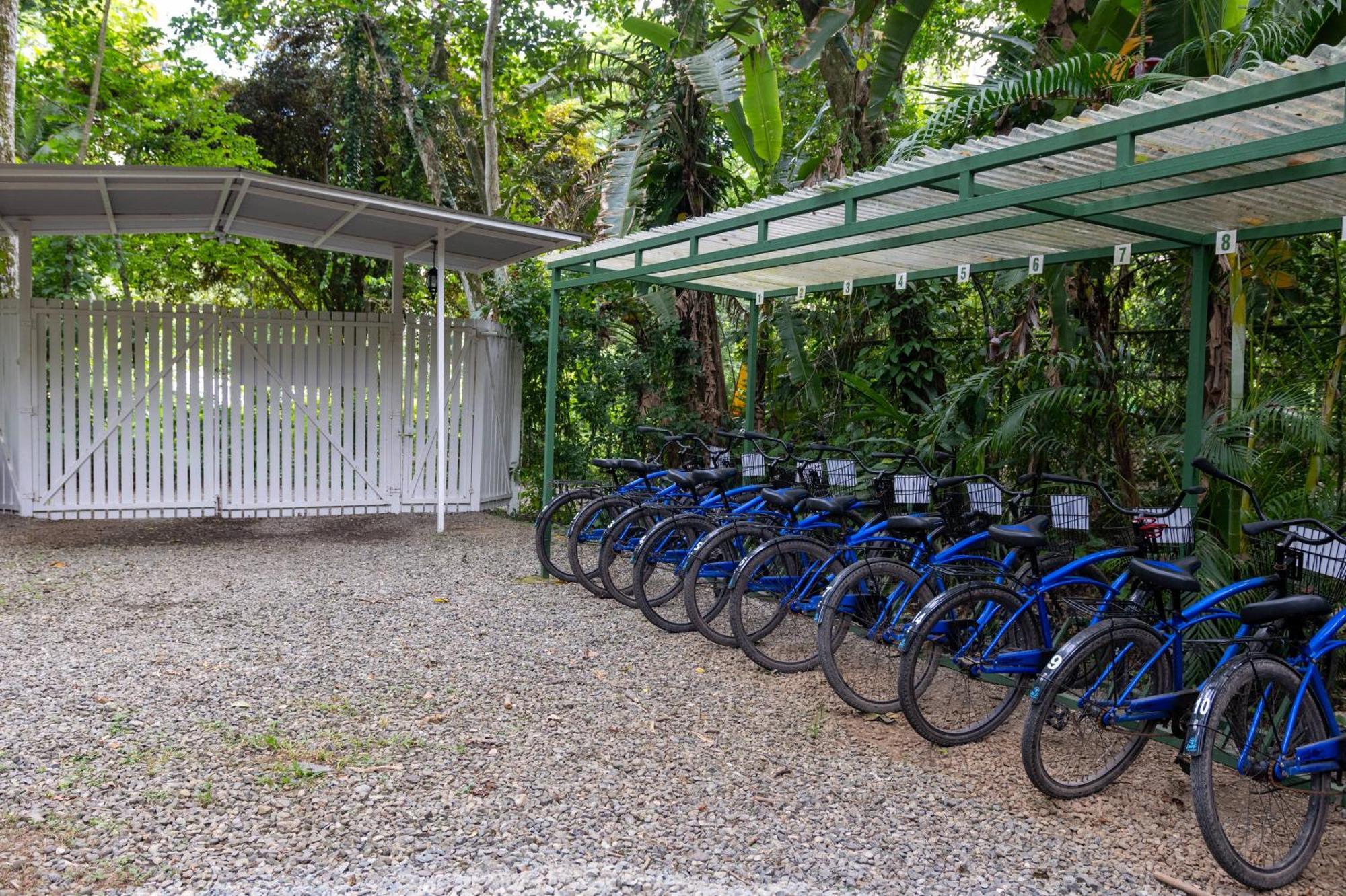 Jaguar Inn Bungalows Puerto Viejo de Talamanca Ngoại thất bức ảnh