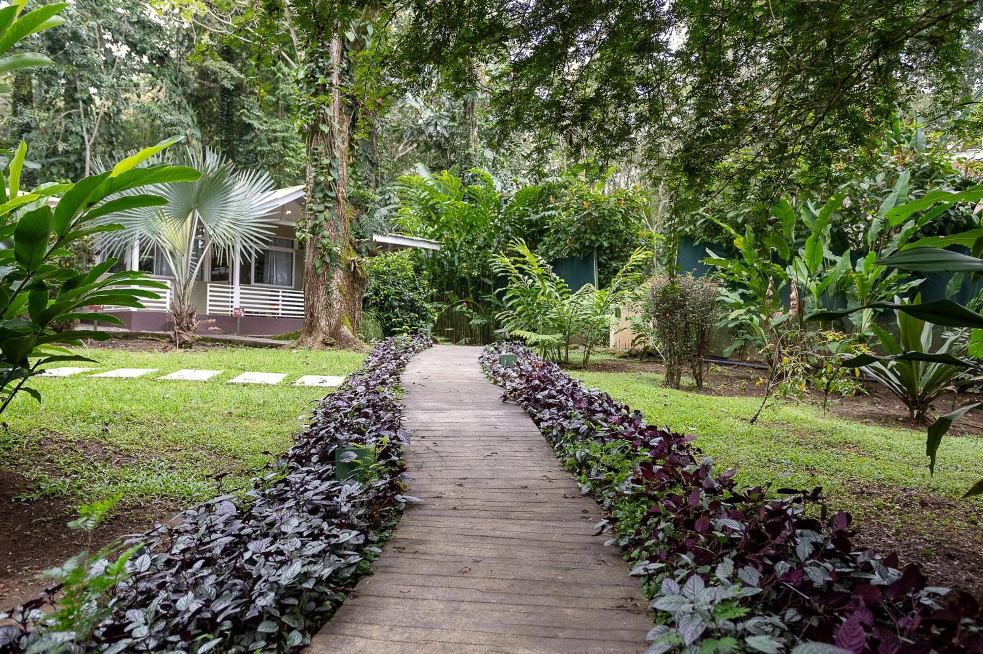 Jaguar Inn Bungalows Puerto Viejo de Talamanca Ngoại thất bức ảnh