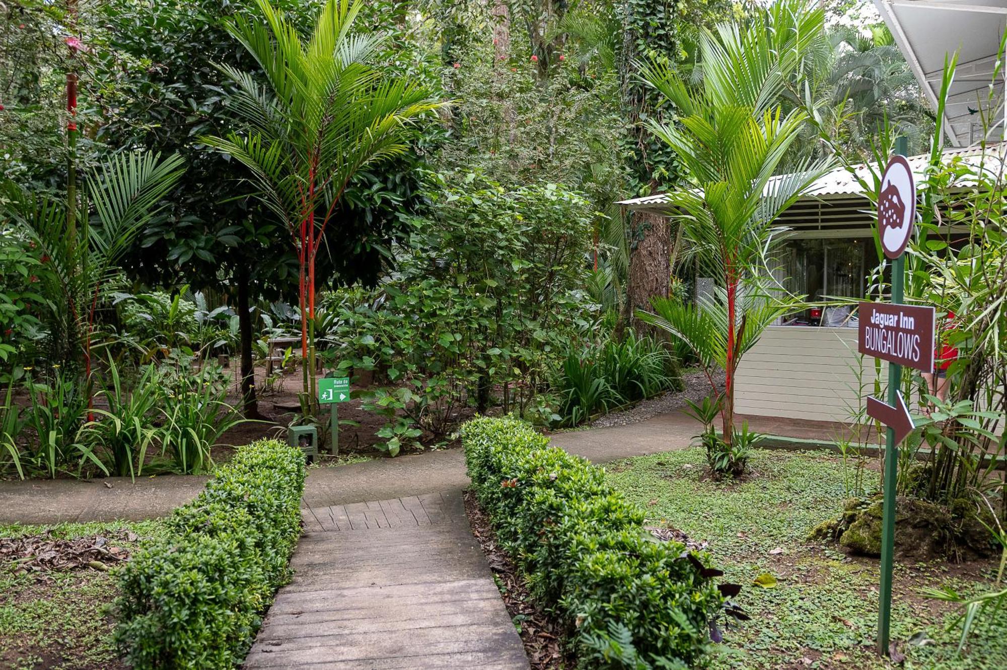 Jaguar Inn Bungalows Puerto Viejo de Talamanca Ngoại thất bức ảnh