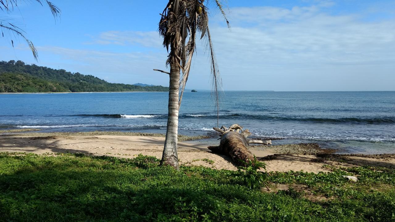 Jaguar Inn Bungalows Puerto Viejo de Talamanca Ngoại thất bức ảnh
